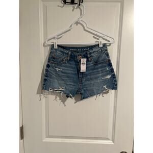 American Eagle Outfitters Blue Distressed Denim Shorts
